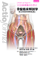 骨盤臨床解剖学