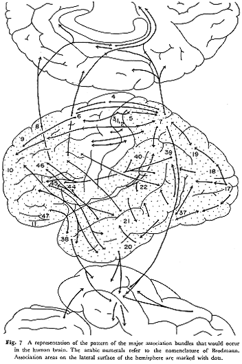 ac-7.png (54901 oCg)