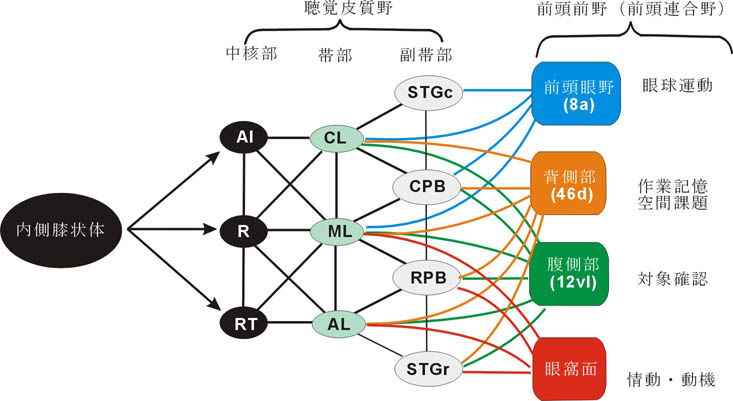 fig1.jpg (58950 oCg)