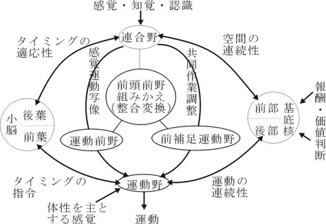 fig10.jpg (38440 oCg)
