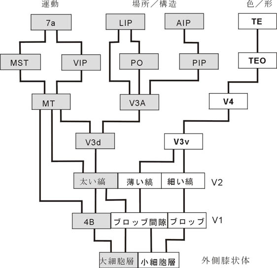 fig2.jpg (45905 oCg)