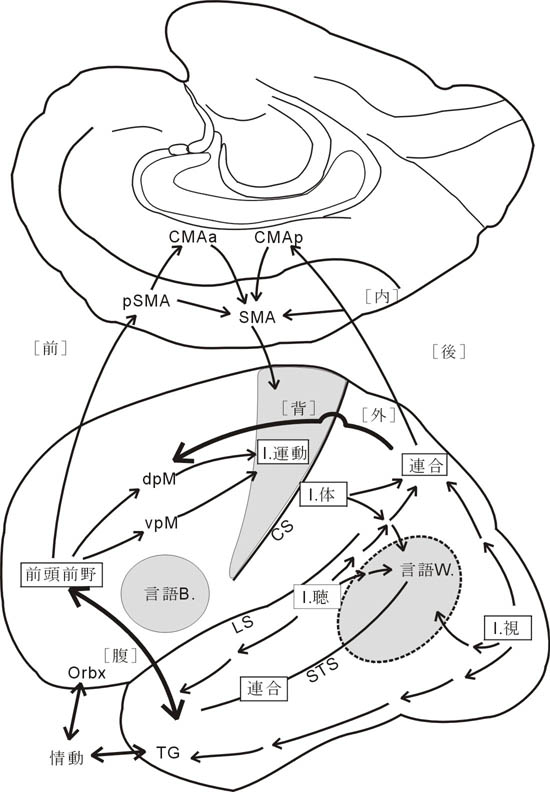 fig3.jpg (77753 oCg)