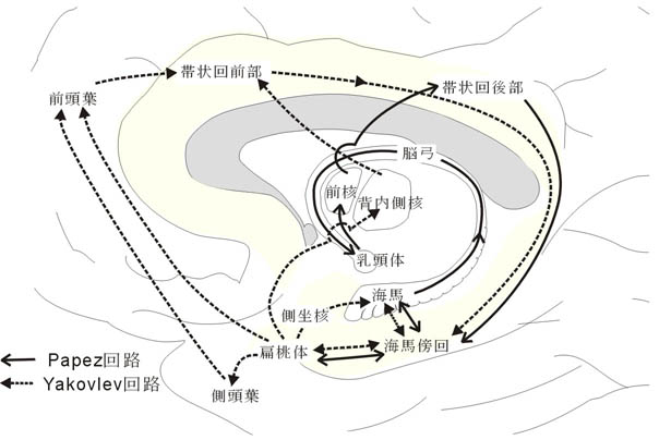 fig5.jpg (45165 oCg)