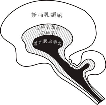 fig6.jpg (30030 oCg)