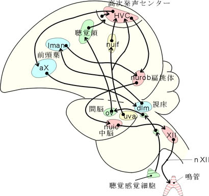 fig7.jpg (38695 oCg)