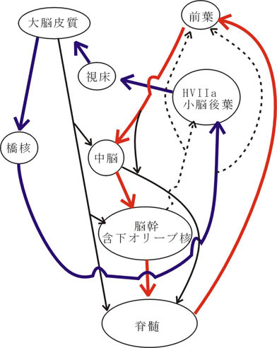 fig8.jpg (44111 oCg)