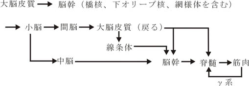 fig9.jpg (18454 oCg)